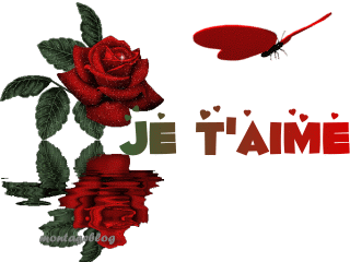 j'suis un mec videlle
