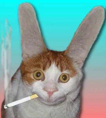 et ben tien meme les il fume